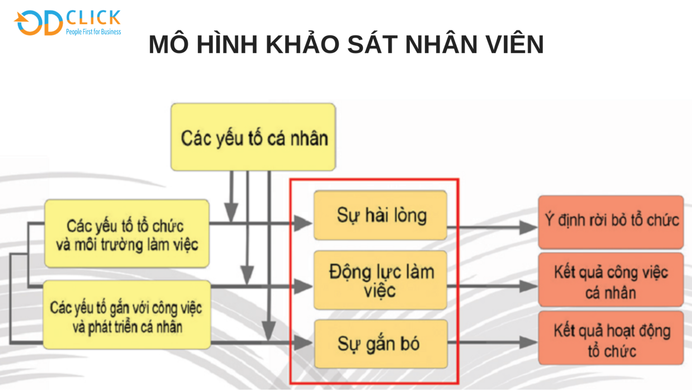 Công ty TNHH Tư vấn Quản lý OD Click