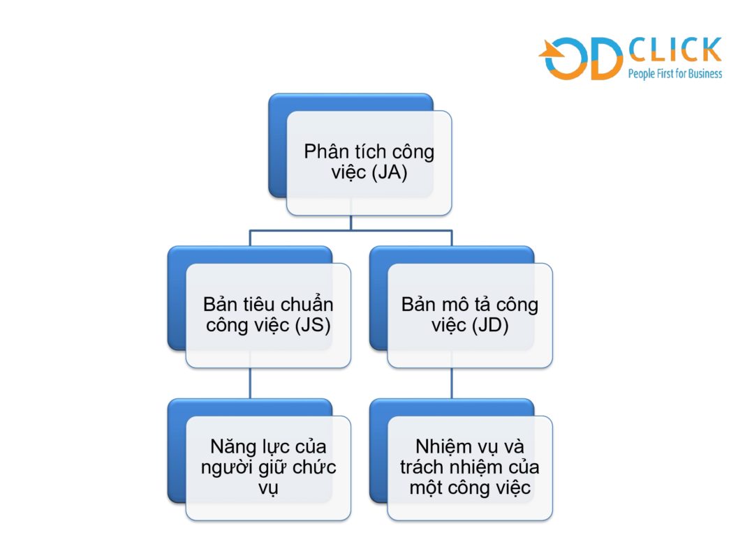 Công ty TNHH Tư vấn Quản lý OD Click