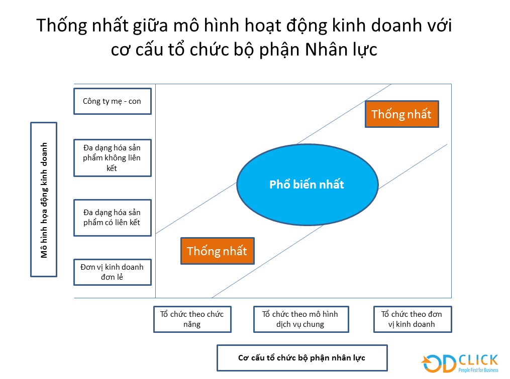 5 mô hình nhân sự mà bất cứ nhà quản lý nào cũng cần biết  Lạc Việt sureHCS