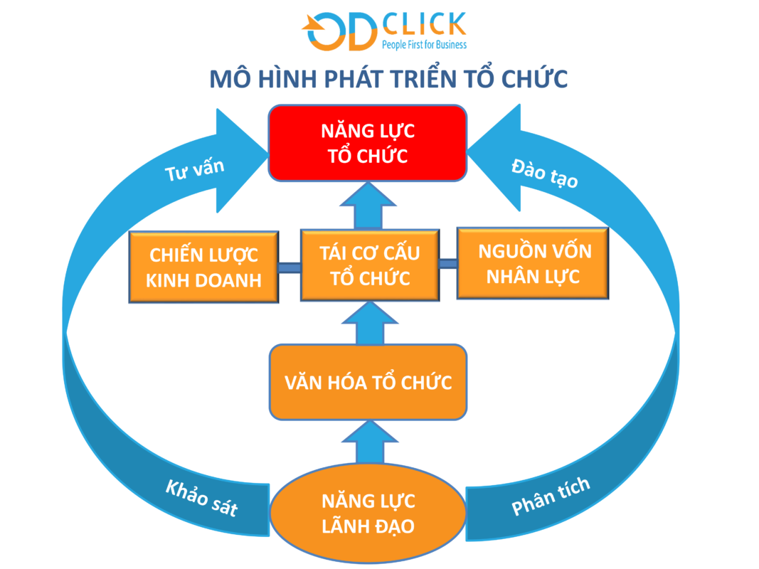 Công ty TNHH Tư vấn Quản lý OD Click