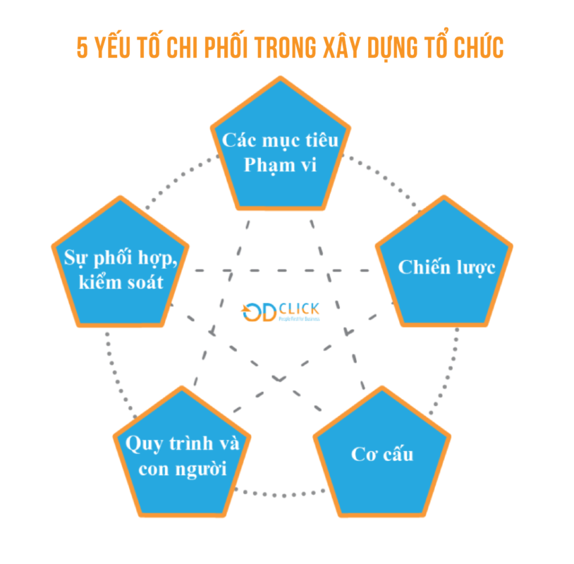 Công ty TNHH Tư vấn Quản lý OD Click