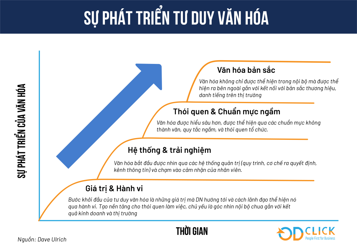 sự phát triển văn hóa 17